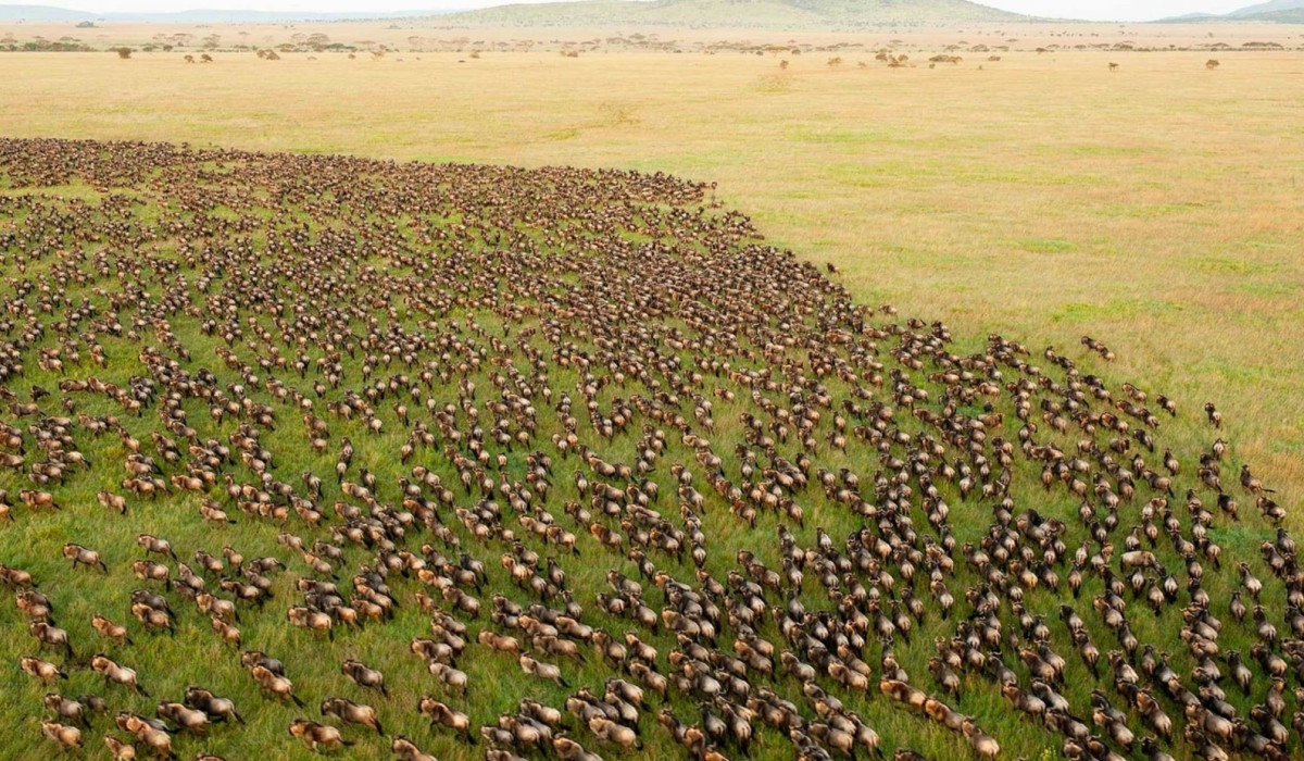 Rainy season in Tanzania 