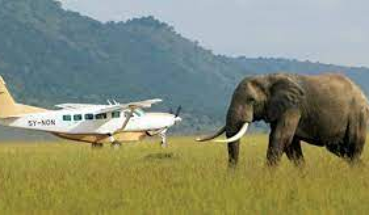 how long is flight from zanzibar to serengeti