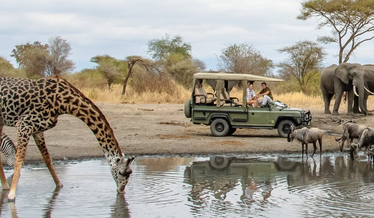 visit serengeti with reasonable 
