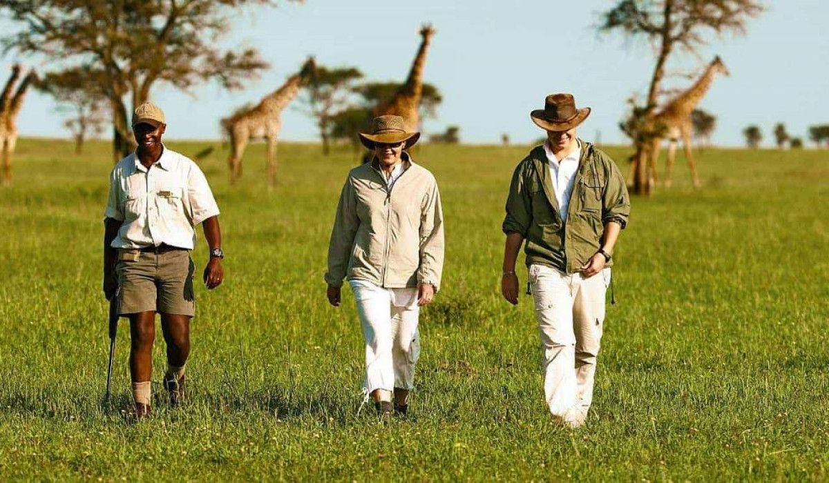 what to expect when you go for walking safari