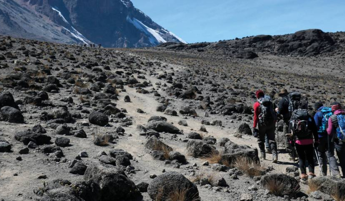 how much is cost to climb kilimanjaro