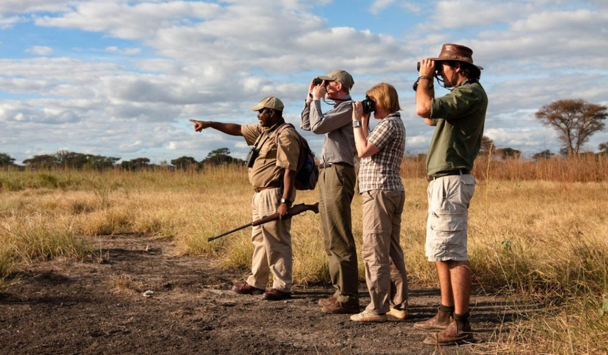 Walking safari in Serengeti 