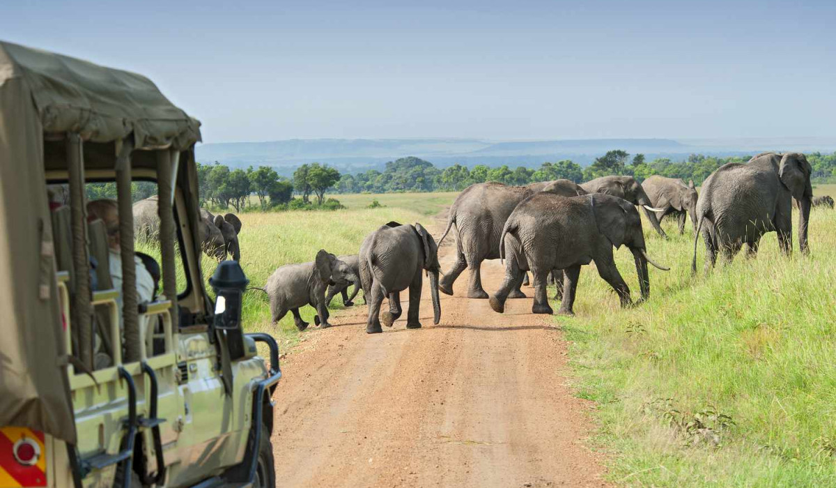how to be enjoying your tanzania safaris safe