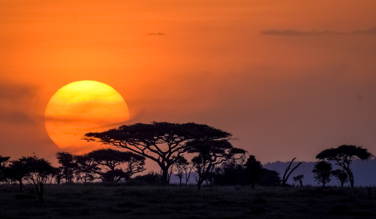 what is unique feature of serengeti national park