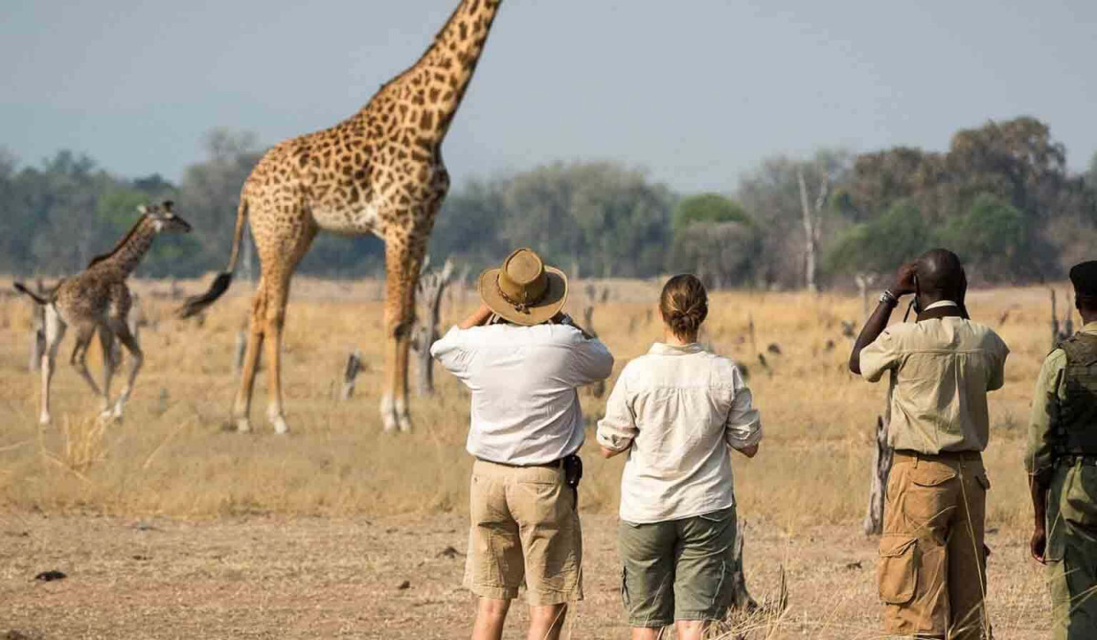Walking Safari Arusha park 