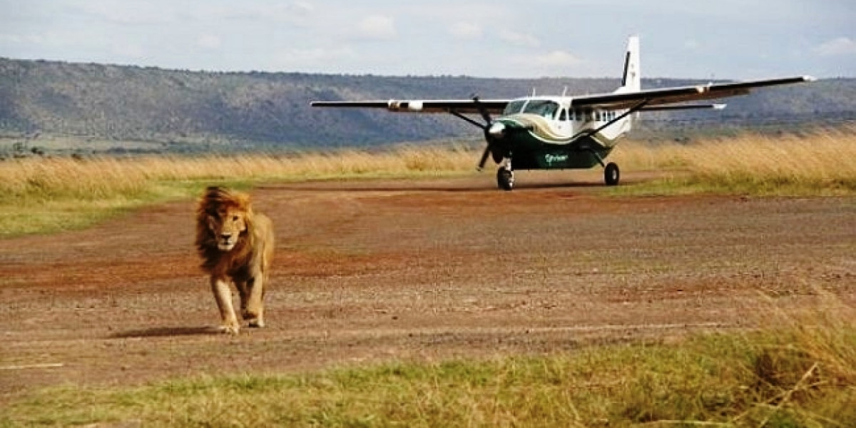 Fly in safari 