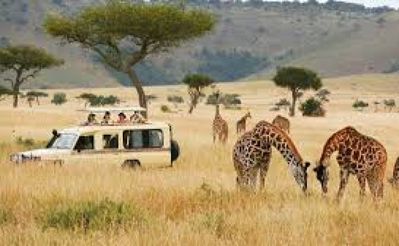 where to go on octuber safari in east africa
