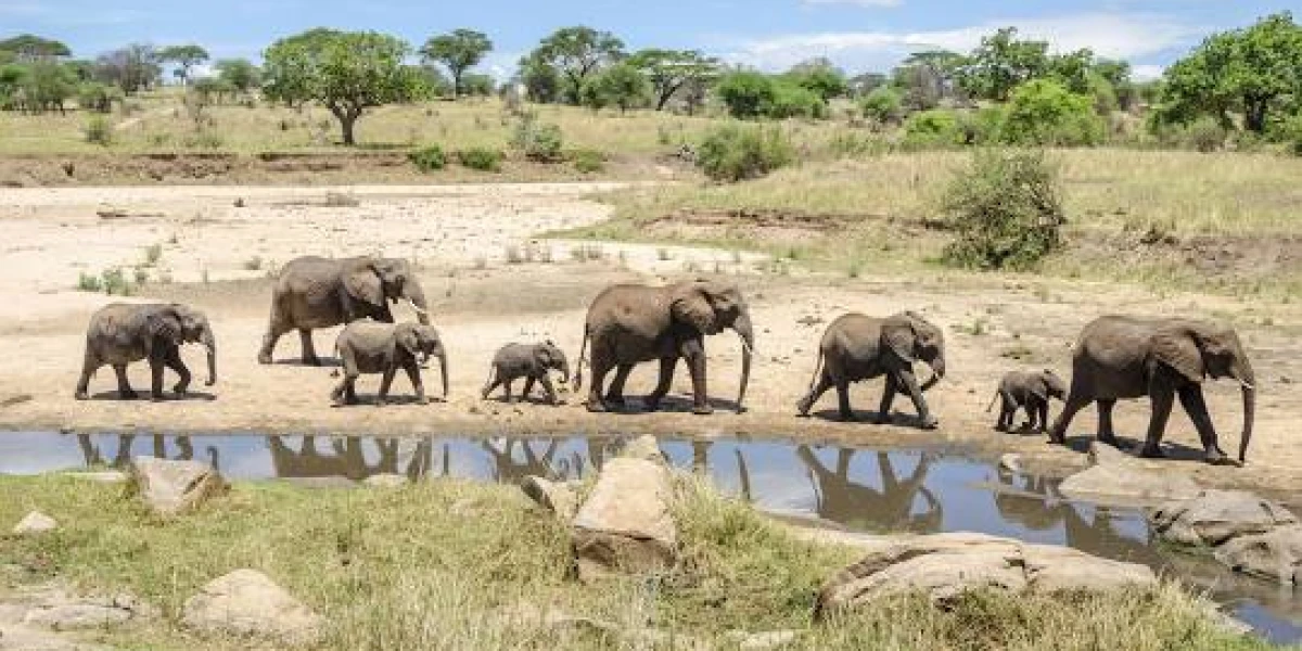 Big Five