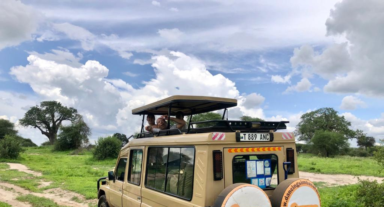 Private safari Serengeti park 