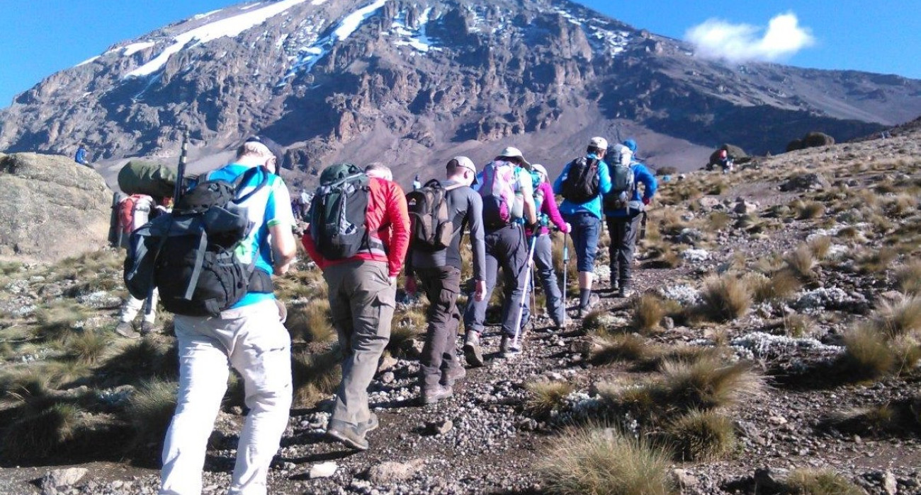 8 Days Kilimanjaro Climbing Lemosho Route 