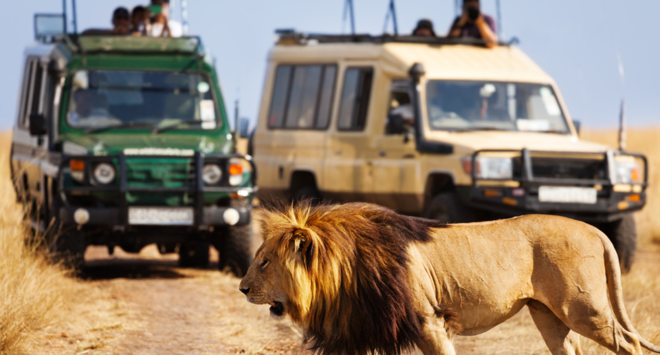 7 Days Luxury Safari to the sky of Serengeti park 