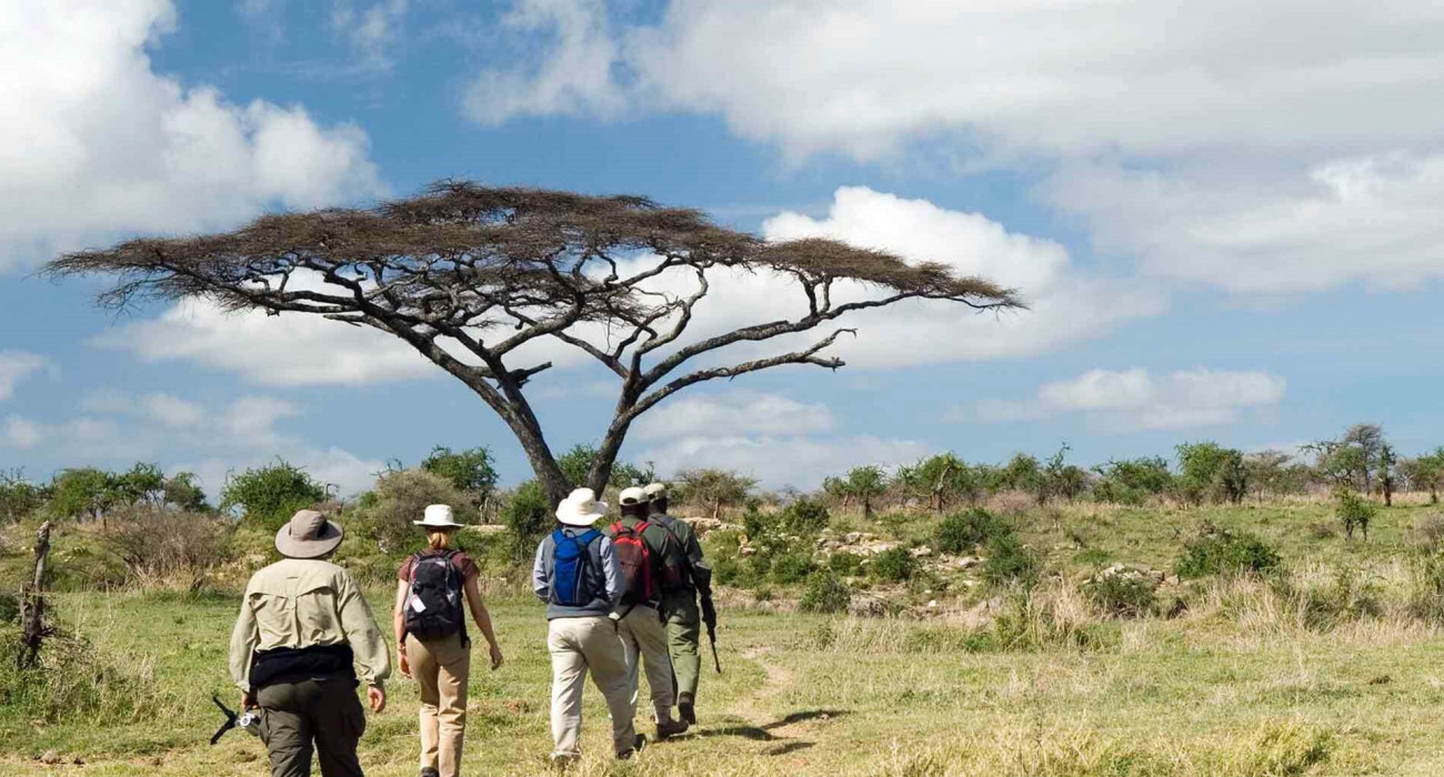 Tarangire walking safari 