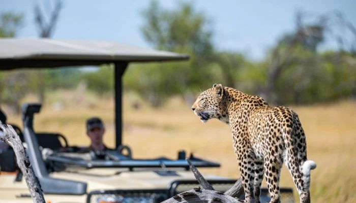8-Day 7Nights Serengeti Experience Safari Adventure