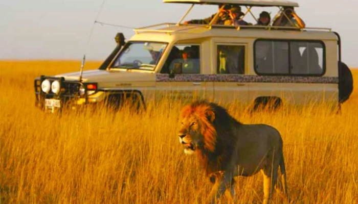  6-Day Ultimate Adventure Group Budget Safari to Tarangire, Serengeti, Ngorongoro Crater, Lake Manyara, and Kilimanjaro