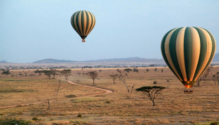 4-Day Fly-In, Fly-Out Safari Ultimate Serengeti Adventure