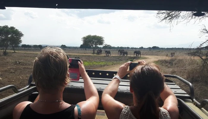 4-Day Mikumi and Nyerere National Park Safari