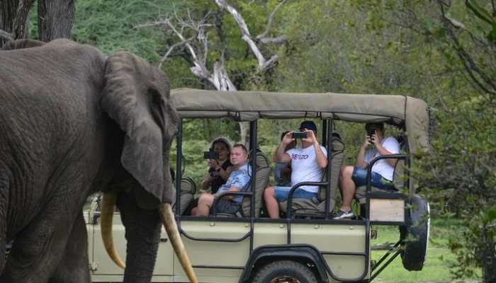 4-Day Mikumi and Nyerere National Park Safari