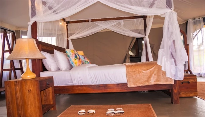 6-Day Journey Into the Wilderness Luxury Safari Serengeti Ngorongoro crater