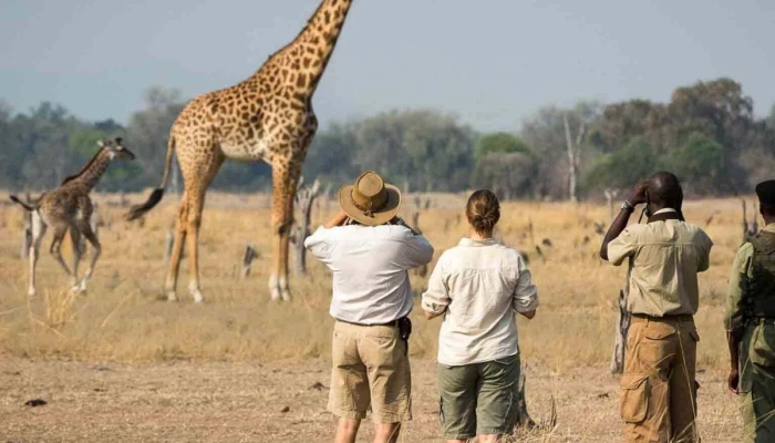 Day Tanzania Private Guide Motorcycle Safari Tour - Image 1