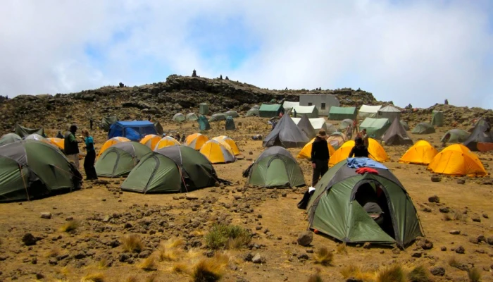 Discover Kilimanjaro Through the Rongai Wilderness Route - Image 1