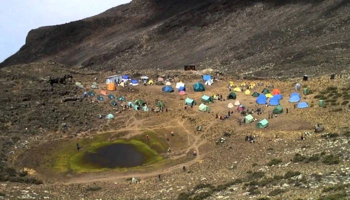 Simba Camp