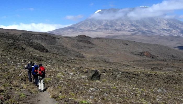Discover Kilimanjaro Through the Rongai Wilderness Route - Image 4