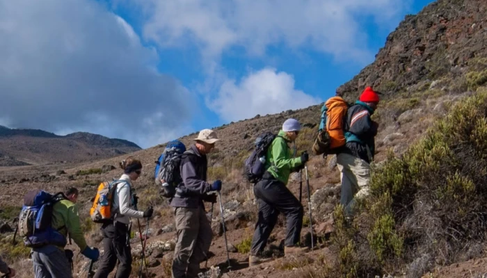 Discover Kilimanjaro Through the Rongai Wilderness Route - Image 3