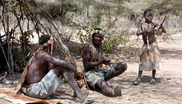 Northern Circuit Wildlife & Cultural Safari Maasai & Hadzabe Adventure from KIA . - Image 3