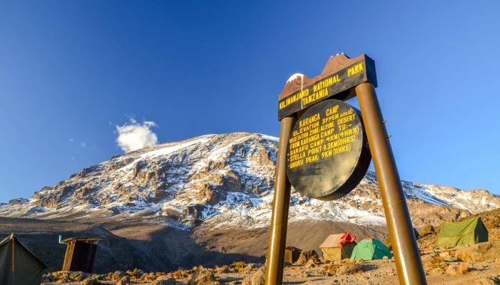Conquering Kilimanjaro Through the Ultimate Umbwe Route. - Image 4
