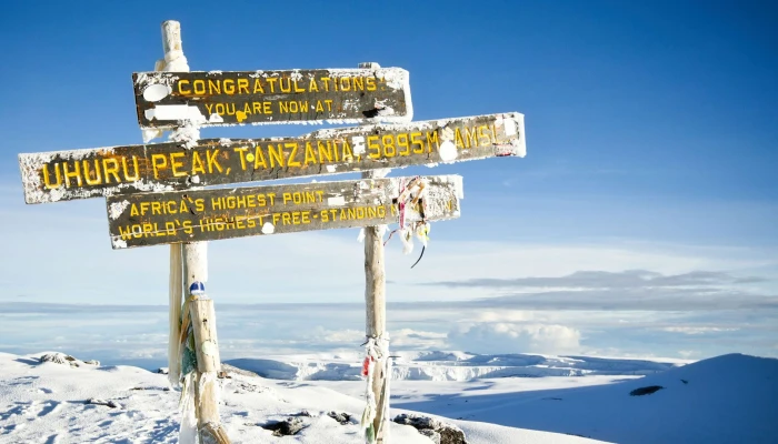 Conquering Kilimanjaro Through the Ultimate Umbwe Route. - Image 3