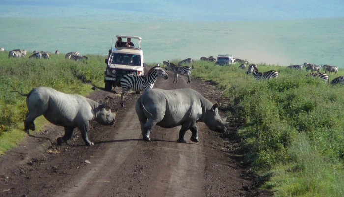 Icons of Tanzania, A Signature Safari Through Tarangire, Ngorongoro & Serengeti  - Image 3
