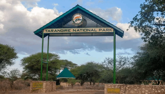 Icons of Tanzania, A Signature Safari Through Tarangire, Ngorongoro & Serengeti  - Image 4