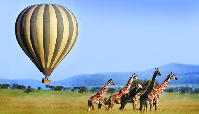 Seronera Wildlife Lodge 