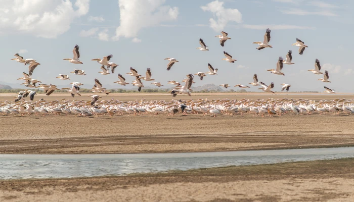 Hadzabe Community in Lake Eyasi
