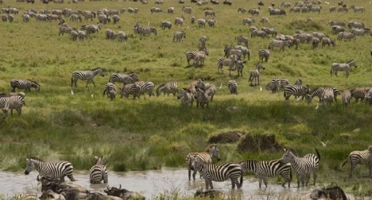 The Ultimate Northern Circuit Safari Experiences. - Image 1