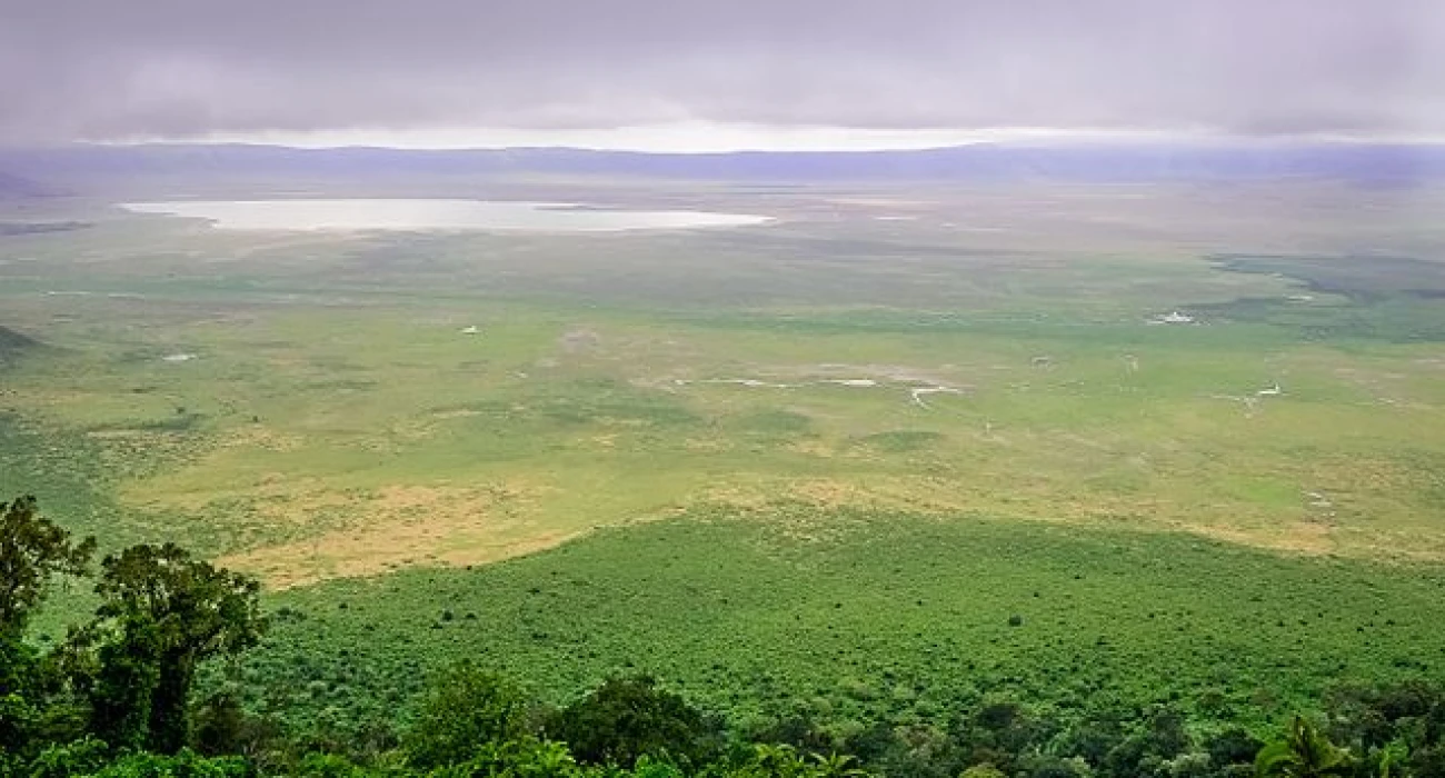 The Ultimate Northern Circuit Safari Experiences. - Image 4