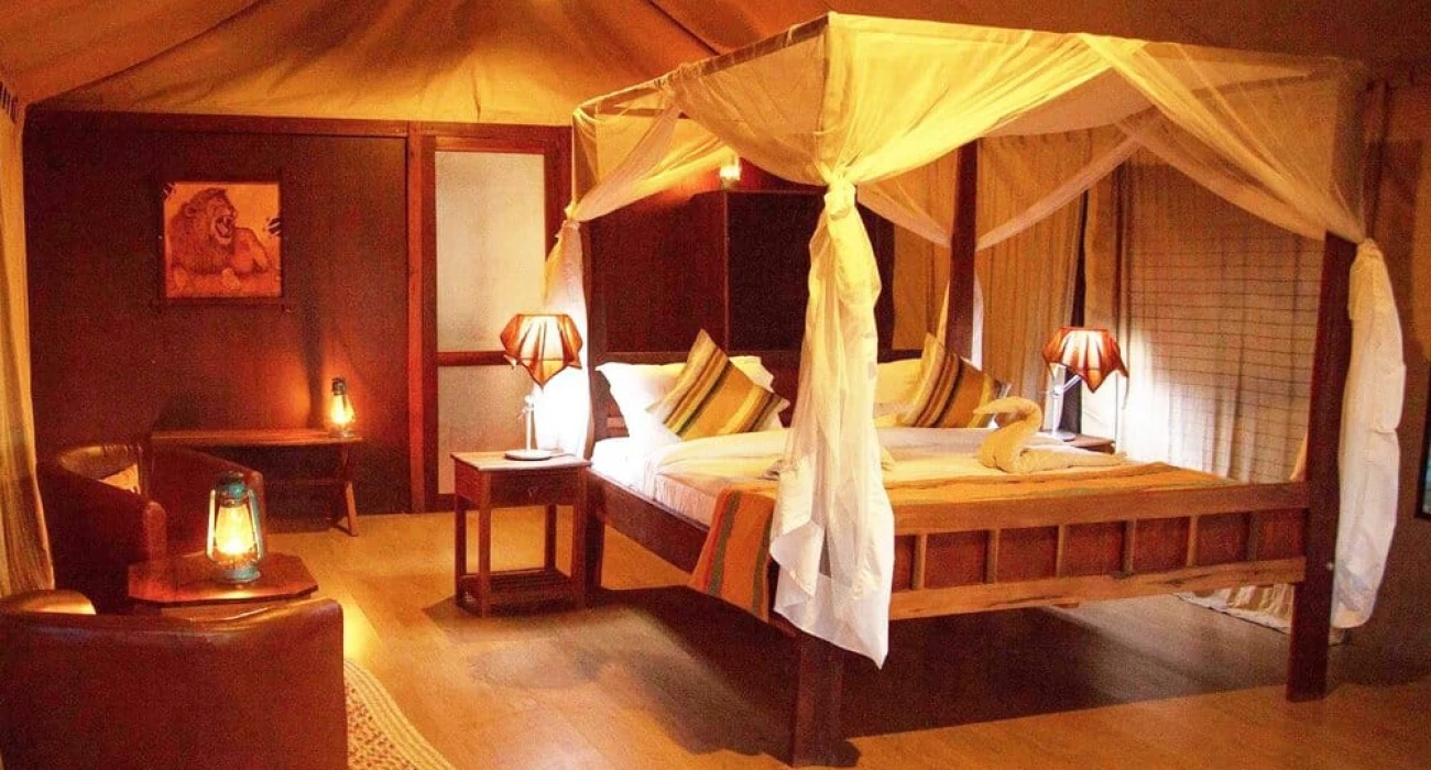 The Ultimate Northern Circuit Safari Experiences. - Image 3