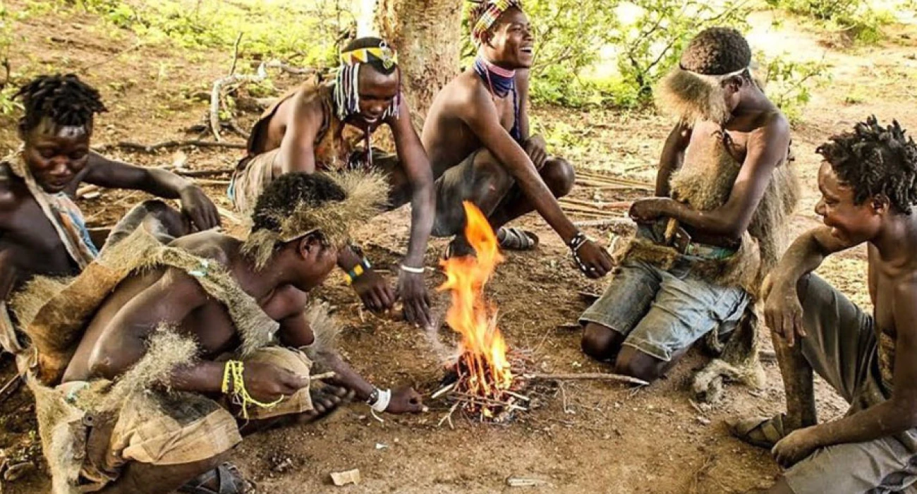 Northern Tanzania Safari  From Crater to Flamingo Lakes.  - Image 1