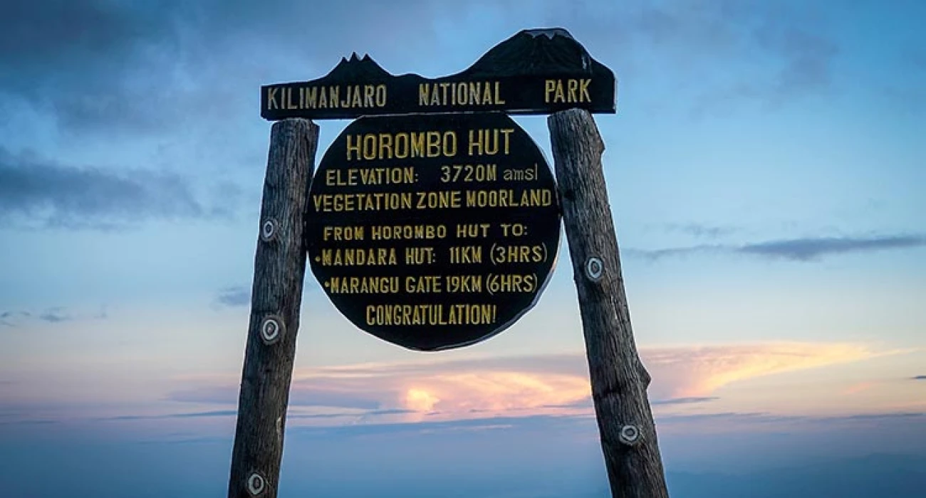 Combined Adventure Kilimanjaro to Serengeti, Trek, Safari & Culture in One Epic Tour. - Image 1