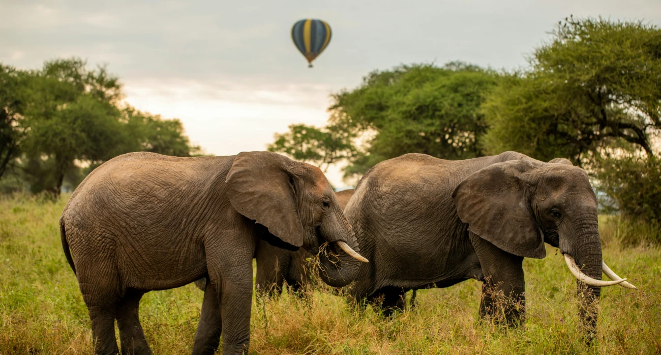 Furaha of Africa Luxury Lodge