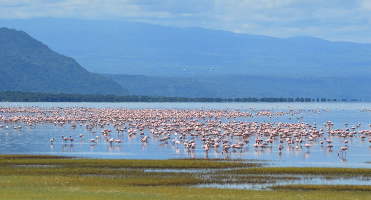 Arusha City 