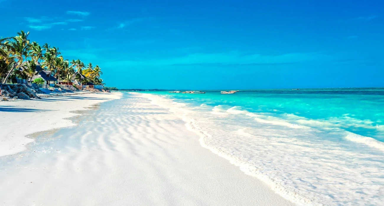 From Savannah to Sea, A Tarangire Safari and Zanzibar Islands Escape. - Image 4