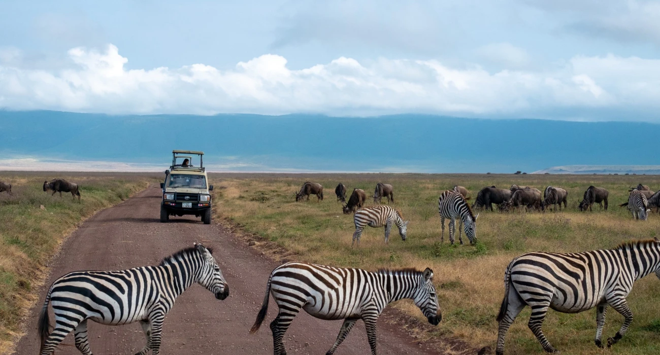 Stunning Zanzibar Beaches