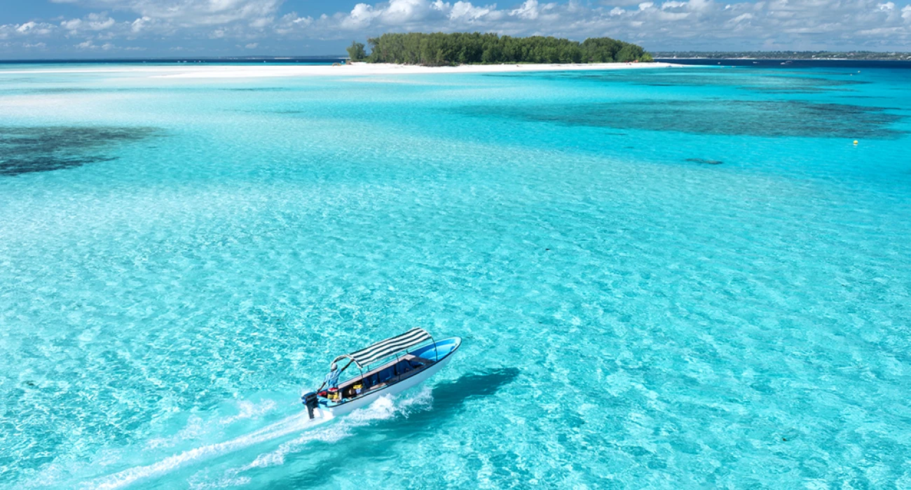 From Wild Plains to White Sands, Escape Through Serengeti’s Drama and Zanzibar’s Tranquility. - Image 1
