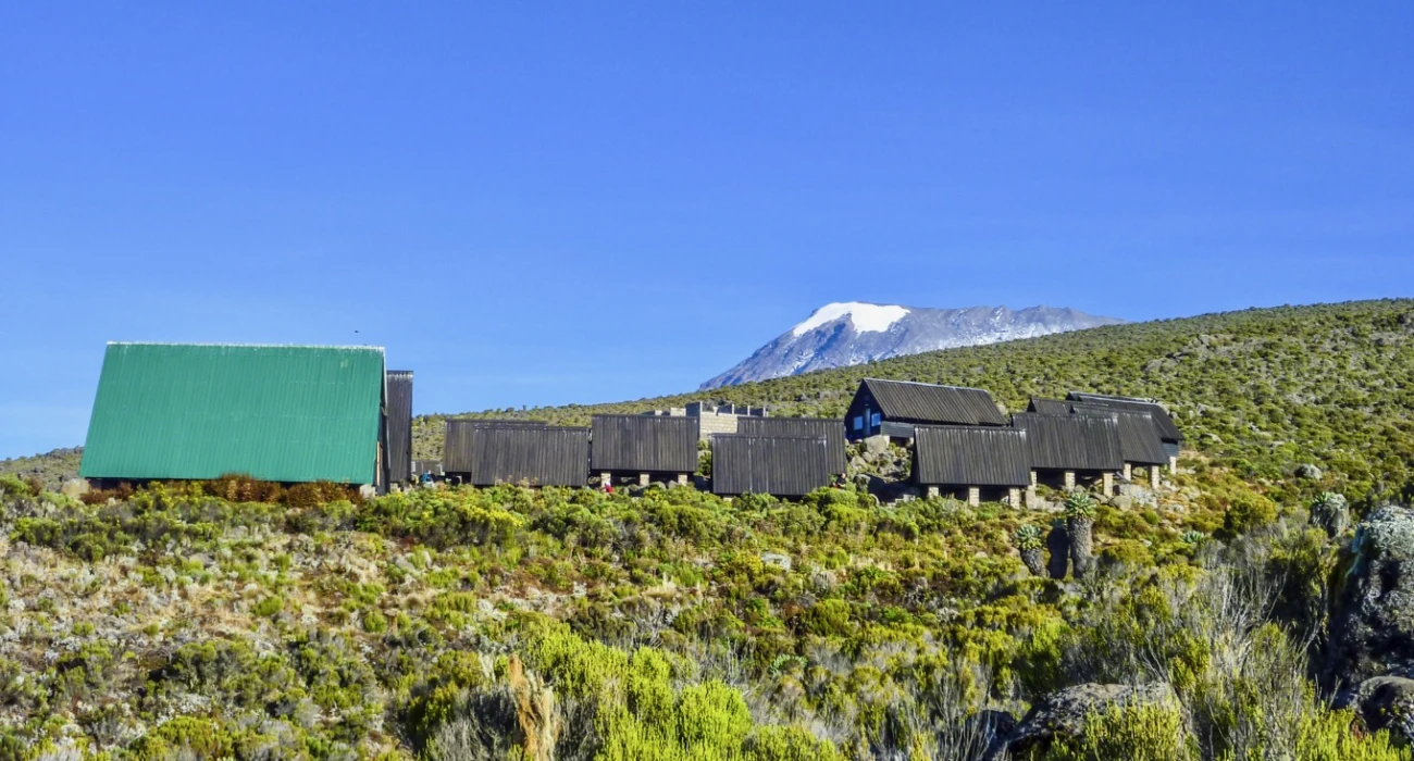 Extended Kilimanjaro Trek Adventure and Iconic Safari Escape. - Image 3