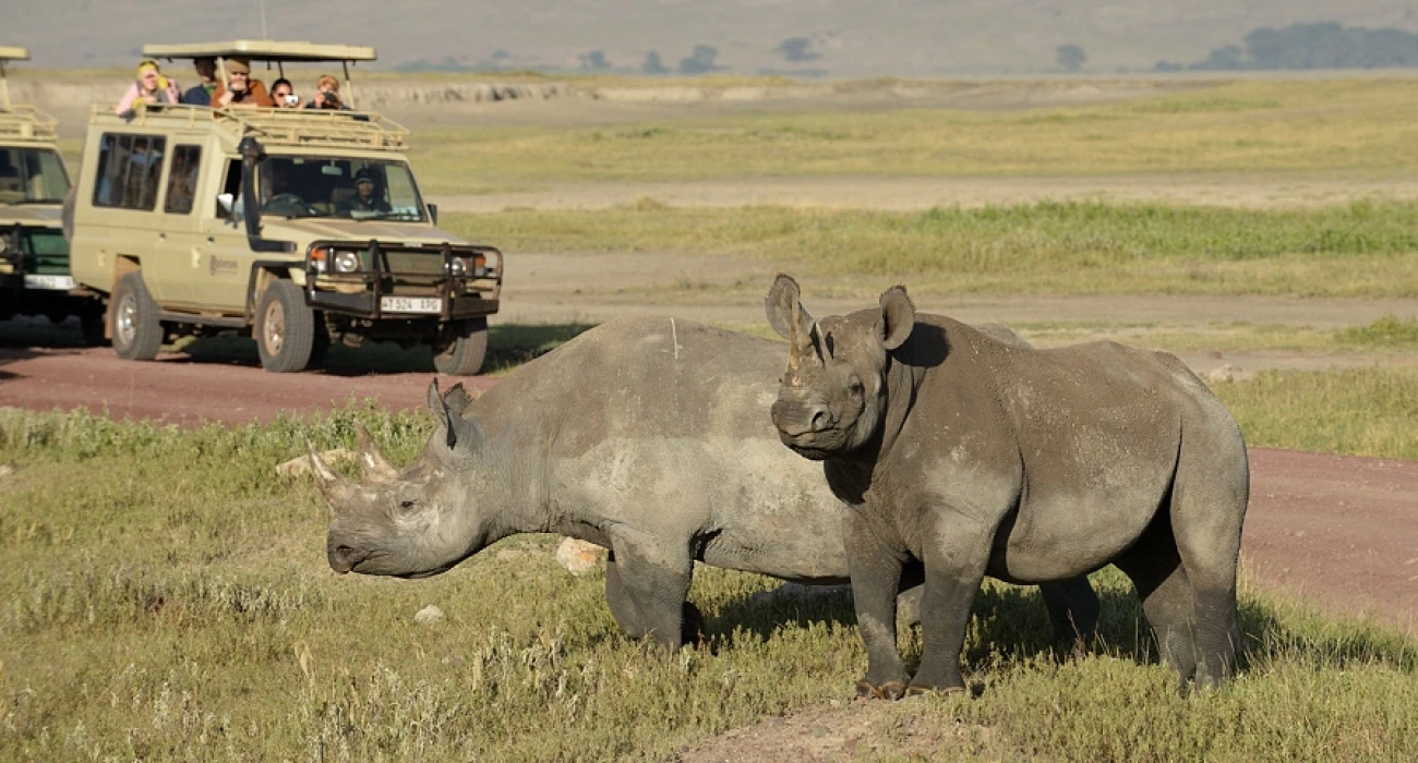 Extended Kilimanjaro Trek Adventure and Iconic Safari Escape. - Image 1