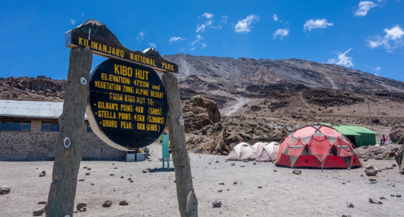 Extended Kilimanjaro Trek Adventure and Iconic Safari Escape. - Image 4