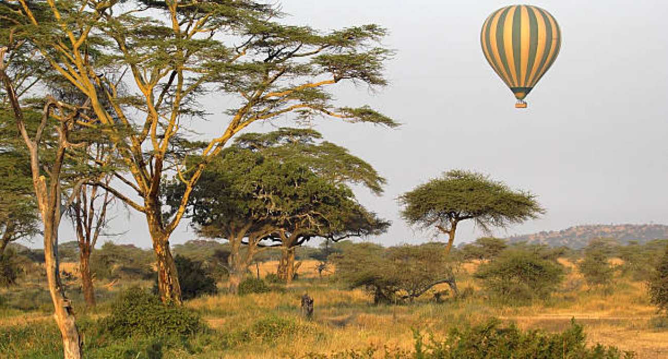 Romantic Adventure in the Heart Of Savannah Plains. - Image 4