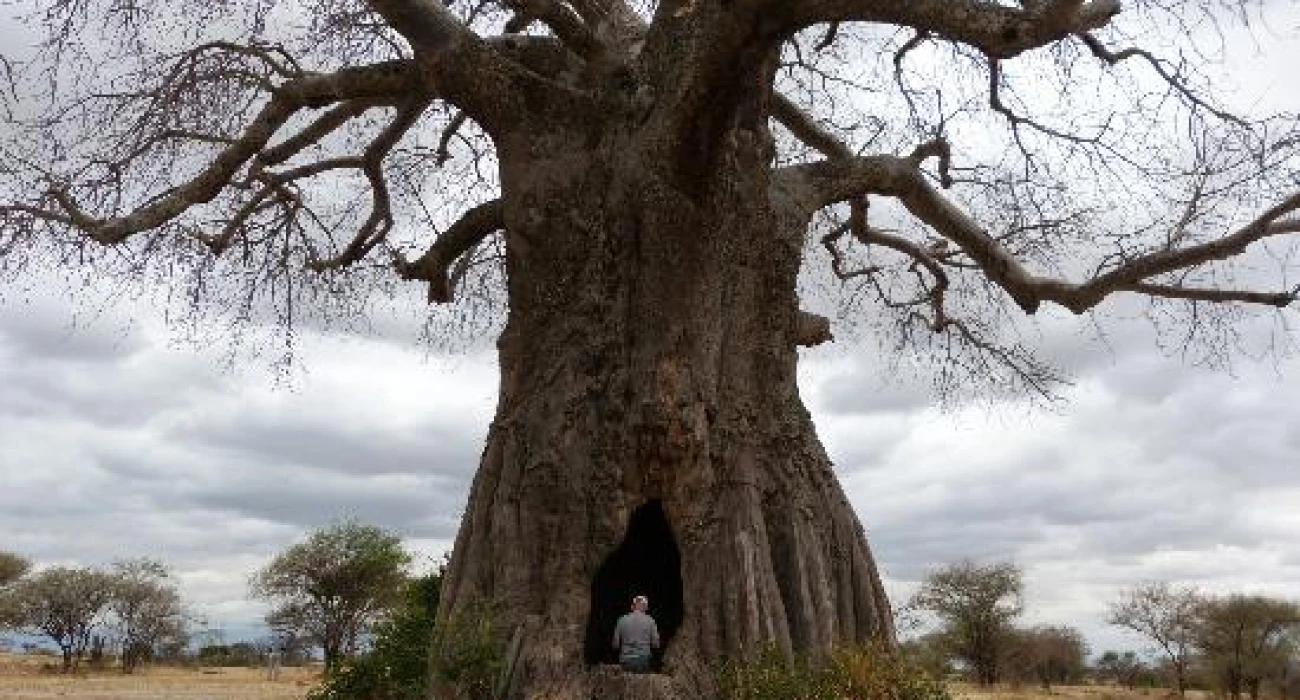 Classic Camping Safari Adventure across Tarangire, Serengeti, Ngorongoro & Lake Manyara. - Image 1