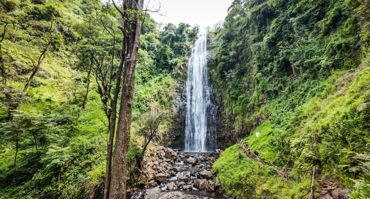 Explore Materuni Waterfalls in a Day. - Image 4